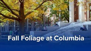 Fall Foliage at Columbia