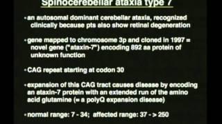 Neurogenetics of Huntington's Disease - Albert La Spada, MD Ph.D.