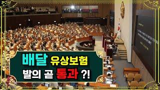 배달 유상보험 발의됬고 곧 통과 되나?! / 그럼 이제부터 어떤 상황이 벌어지는지 보자 과연?