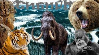 САМЫЕ ЛУЧШИЕ ГОРОДА СИБИРИ