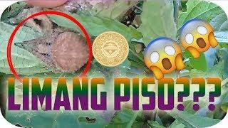 WOW!! NANLIIT YUNG LIMANG PISO SA LAKI NG GAGAMBA!!