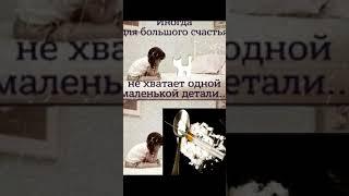 ПОДБОРКА МЕМОВ #13 // ТИК ТОК МЕМЫ // #мемы #тикток #shorts #шортс