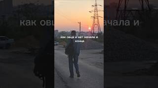 Омар Хайям однажды сказал #shortvideo #цитаты #мудрость #цитатыосмысле #шортс #цитатыпрожизнь