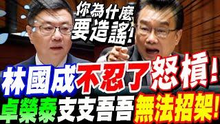 【字幕】國民岳父林國成也不忍了！怒槓行政院長！你為什麼要造謠！當場噴到卓榮泰整場支支吾吾！無法招架！立院總質詢：總預算覆議案 #民眾黨