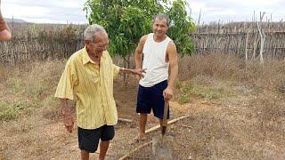 Zé de leca fiscalizando o serviço/ chegou a veiz de arrumar os pés de mangueira