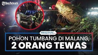 Pohon Tumbang di Malang Timbulkan Kecelakaan Maut, 2 Orang Tewas