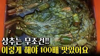 신이 내린 맛!! 상추 절임 초간단 비법! 상추 쌀 때 먹으면 너무 좋아요~ 상추장아찌만드는 꿀팁