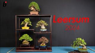 Bonsai show in Leersum Holland