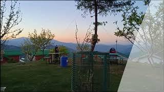 Pets Friendly Hotel in Shimla|Cedar Height Resorts Kufri Shimla|