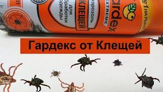 Gardex от Клещей: Проверил Оранжевый Гардекс Экстрим на клещах