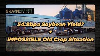 MONSTER Soybean Crop + Impossible Old Crop Situation