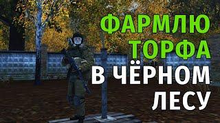 122. Фармлю Торфа в Чёрном Лесу. Сталкер Онлайн | Stalker Online | Stay Out. RU2.