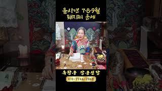 2025년 을사년 7·8·9월 돼지띠 운세! "기운을 바꾸려면 움직여라!" #Shorts #운세 #2025년 #2025년운세 #을사년 #을사년운세 #돼지띠 #돼지띠운세