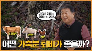 [농지답] 어떤 가축분 퇴비가 좋을까? 효과적인 선택법 공개!