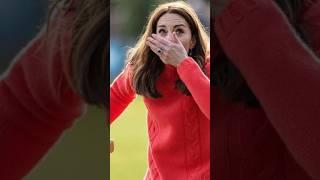 Princess Catherine And Prince William Were Trying hurling On Tour Of Ireland #royalfamily #shorts