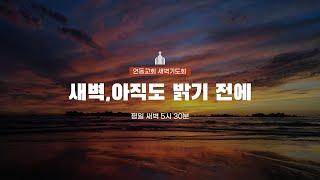 250616 연동교회 새벽기도회