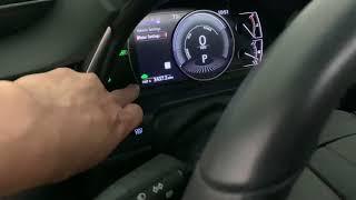 2020 Lexus ES300H  - How to Set Mileage, Trip A/B  Display on the Screen