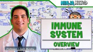 Immunology | Immune System: Overview