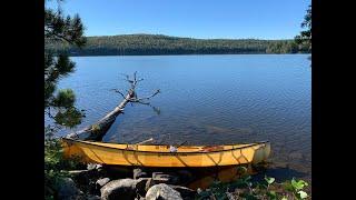 Algonquin Fall 2021