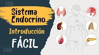  SISTEMA ENDÓCRINO | Explicado FÁCIL | Glándulas y hormonas