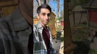 Is Flow Hive’s Open Harvesting Safe? Beekeeping Laws and Best Practices Pt.2 #flowhive #beekeeping