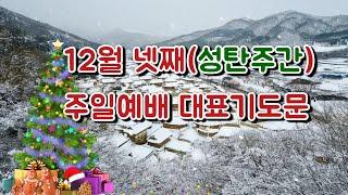 2024 12월넷째주일예배대표기도문 | 성탄주간 주일예배 대표기도문 | 한 해를 돌아보며 주님께 드리는 감사와 찬양 |  빛나고 높은 보좌와