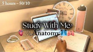 Study with me for my *FINAL* ANATOMY exam 🫀🫁 - 5 hrs - no music (with breaks)