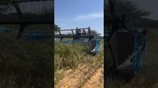New reaper to cut mustard  #combine #technology