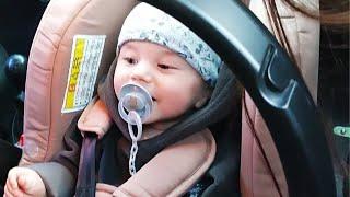 Домашній влог з правнучком. Робота в городі. Проводжаю Вікулю і Святіка.
