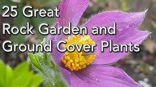 25 Rock Garden Plants - Easy  Care Low Growing Plants and Ground Covers.