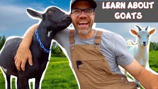 Learn About Goats with Farmer Jason! (Fun Educational Video For Kids)