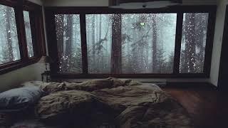 Relaxing Rain Sounds for Sleeping - Heavy Rain Sounds in Misty Forest without Thunder - 10 Hours