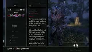 The Elder Scrolls Online AJ's Build