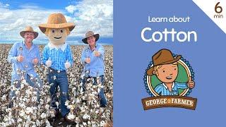 Cotton with George the Farmer