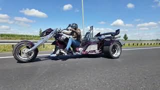 Kaszpir Trike Dark Candy King III