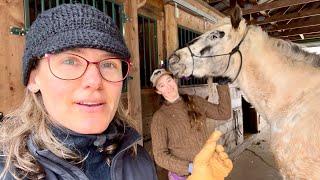 This Horse Had A Really Close Call:  Dreamer's Journey with Founder