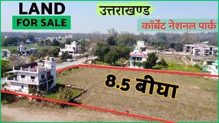 Land for Sale | 8.5 Bigha On Road | Attach with Jim Corbett Park | Uttarakhand