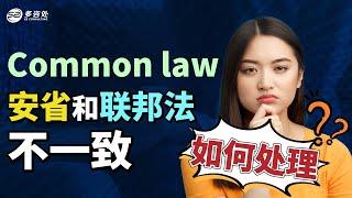 加拿大伴侣Common Law，省和联邦法不一致，遇到冲突，该如何处理？