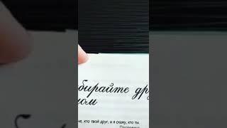Братство в Исламе