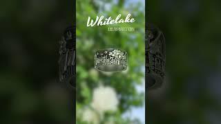 Whitelake. Авторское кольцо «Дача» (код на сайте 2543)