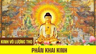 KINH VÔ LƯỢNG THỌ | Phần Khai Kinh - Thầy Thích Huệ Duyên Tụng