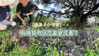 【樹呆子小學堂】有機質為什麼會變成毒？！ #土壤診斷 #有機質 #厭氧