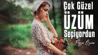 Çok Güzel Üzüm Seçiyordun-Hüsameddin Bayraklı (Feyza Özcan)