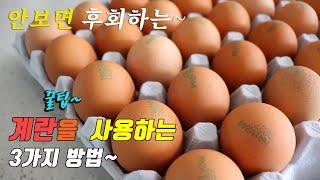 계란으로 할수있는 간단하고 맛있는 3가지 요리~ 3 kinds of egg cooking recipe, korea food recipe~ [강쉪]