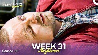 WEEK 31 | Episodes 6941-6945 | Neighbours 2014 (Season 30)
