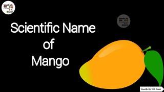 Scientific Name Of Mango || आम का Botanical Name कया है || What is Scientific name of Mango