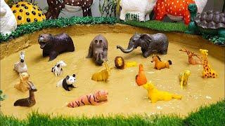 Wild African Animals Stuck in the Mud Ground | Fun Learning for Kids