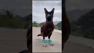 TOP 5 Scariest Animal Sounds in the world  #animals #facts #shorts