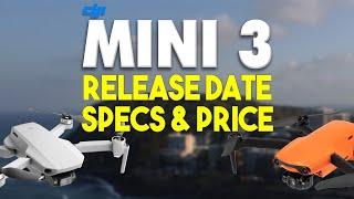 DJI Mini 3 - Release Date, Specs & Price | DansTube.TV