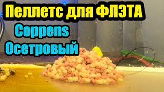 Пеллетс для ФЛЭТ ФИДЕРА  Коппенс Coppens | Осетровый пеллетс |ФЛЭТ МЕТОД